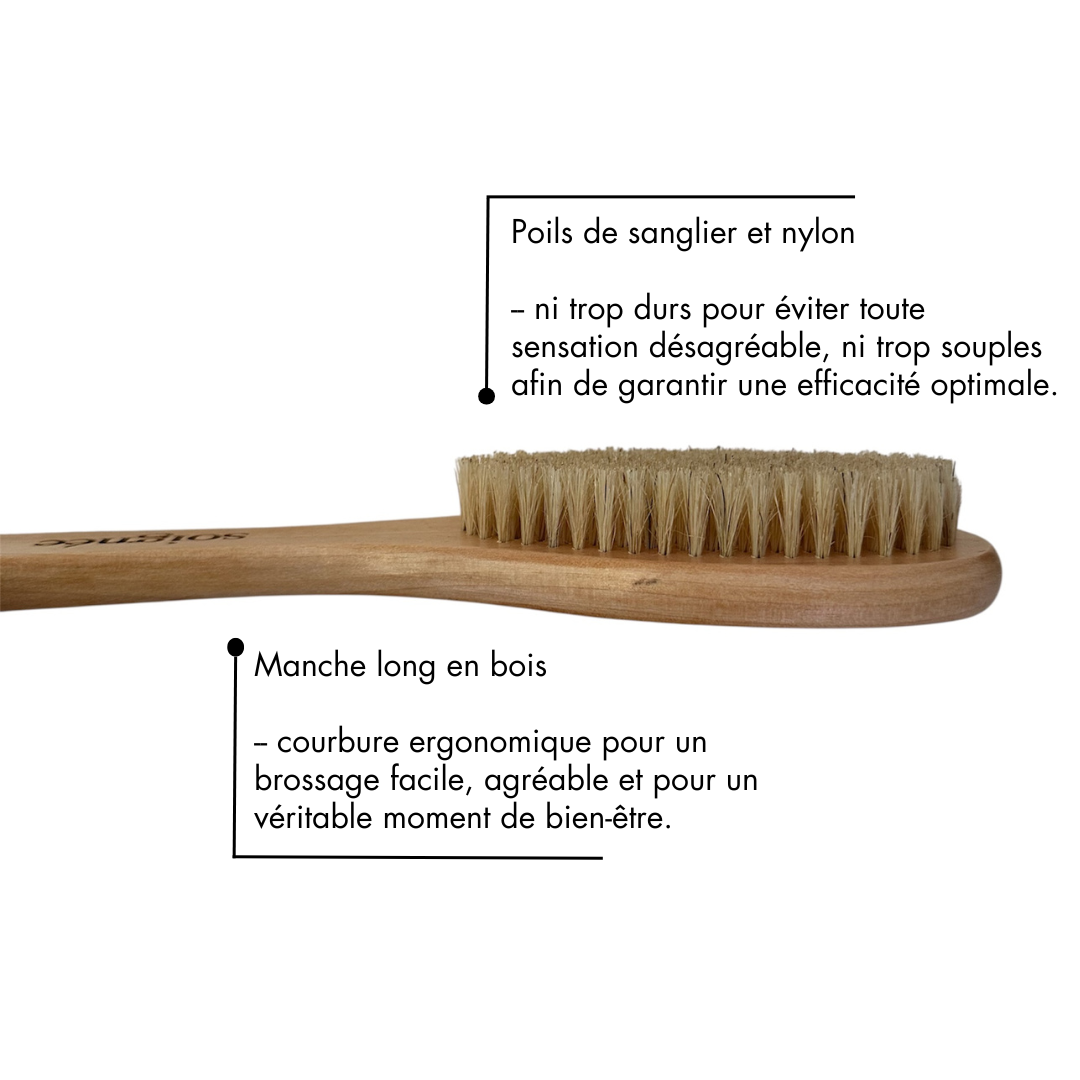 Brosse Énergisante à Sec pour le Corps